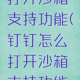 钉钉怎么打开沙箱支持功能(钉钉怎么打开沙箱支持功能设置)