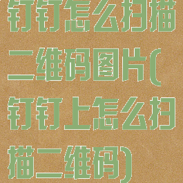 钉钉怎么扫描二维码图片(钉钉上怎么扫描二维码)