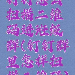 钉钉怎么扫描二维码进班级群(钉钉群里怎样扫描二维码)