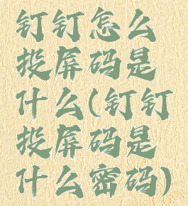 钉钉怎么投屏码是什么(钉钉投屏码是什么密码)