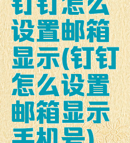 钉钉怎么设置邮箱显示(钉钉怎么设置邮箱显示手机号)