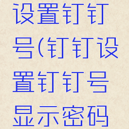 钉钉怎么设置钉钉号(钉钉设置钉钉号显示密码验证失败)