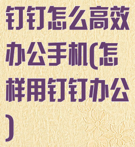 钉钉怎么高效办公手机(怎样用钉钉办公)