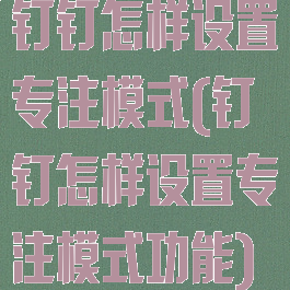 钉钉怎样设置专注模式(钉钉怎样设置专注模式功能)