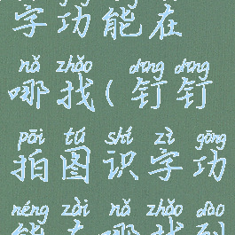 钉钉拍图识字功能在哪找(钉钉拍图识字功能在哪找到)