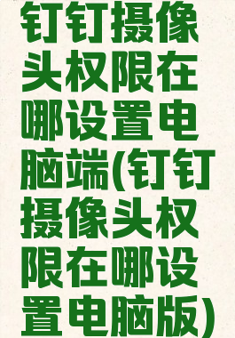 钉钉摄像头权限在哪设置电脑端(钉钉摄像头权限在哪设置电脑版)