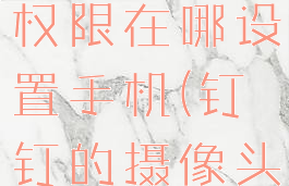 钉钉摄像头权限在哪设置手机(钉钉的摄像头设置)