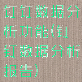钉钉数据分析功能(钉钉数据分析报告)