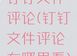 钉钉文件评论(钉钉文件评论在哪里看)