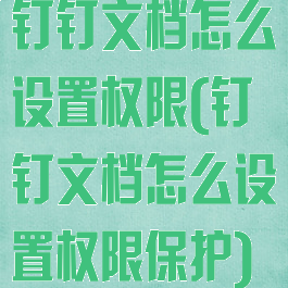钉钉文档怎么设置权限(钉钉文档怎么设置权限保护)