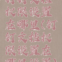 钉钉文档权限设置在哪里(钉钉文档权限设置在哪里设置)