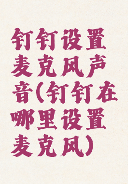 钉钉设置麦克风声音(钉钉在哪里设置麦克风)