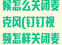 钉钉视频的时候怎么关闭麦克风(钉钉视频怎样关闭麦克风)