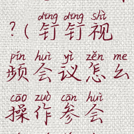 钉钉视频会议怎么操作?(钉钉视频会议怎么操作参会人员头像截图)