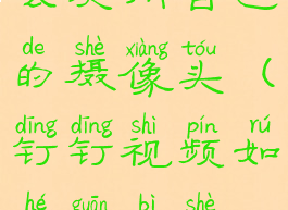 钉钉视频怎么关闭自己的摄像头(钉钉视频如何关闭摄像头)