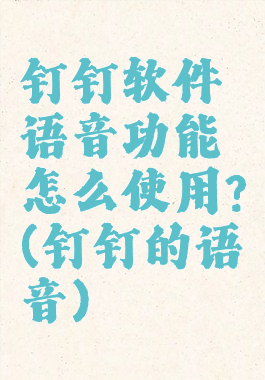 钉钉软件语音功能怎么使用?(钉钉的语音)