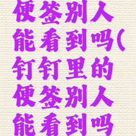 钉钉里的便签别人能看到吗(钉钉里的便签别人能看到吗安全吗)