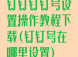 钉钉钉钉号设置操作教程下载(钉钉号在哪里设置)