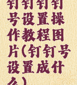 钉钉钉钉号设置操作教程图片(钉钉号设置成什么)