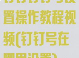 钉钉钉钉号设置操作教程视频(钉钉号在哪里设置)