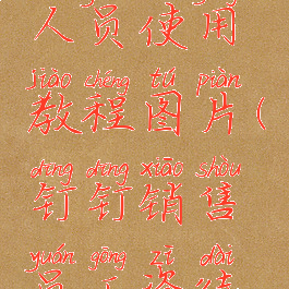 钉钉销售人员使用教程图片(钉钉销售员工资待遇)