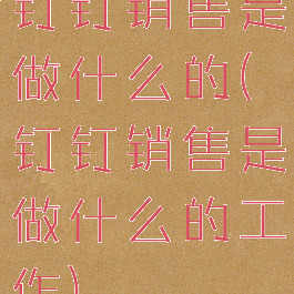 钉钉销售是做什么的(钉钉销售是做什么的工作)