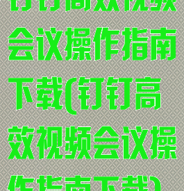 钉钉高效视频会议操作指南下载(钉钉高效视频会议操作指南下载)