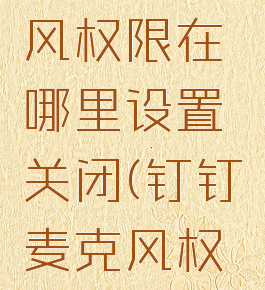 钉钉麦克风权限在哪里设置关闭(钉钉麦克风权限怎么关)