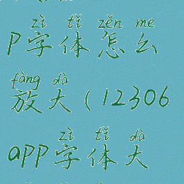 铁路12306app字体怎么放大(12306app字体大小设置)