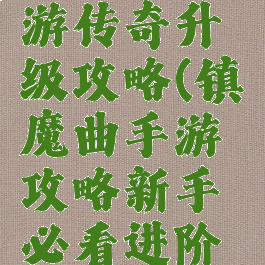 镇魔曲手游传奇升级攻略(镇魔曲手游攻略新手必看进阶攻略)