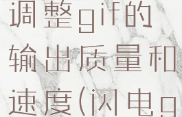 闪电gif制作软件如何调整gif的输出质量和速度(闪电gif制作软件教程)