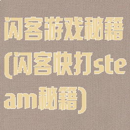 闪客游戏秘籍(闪客快打steam秘籍)