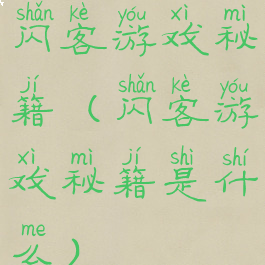 闪客游戏秘籍(闪客游戏秘籍是什么)