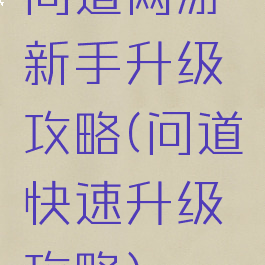 问道网游新手升级攻略(问道快速升级攻略)