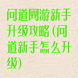 问道网游新手升级攻略(问道新手怎么升级)
