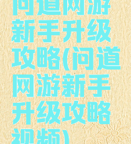 问道网游新手升级攻略(问道网游新手升级攻略视频)