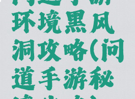 问道手游环境黑风洞攻略(问道手游秘境攻略)
