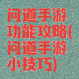 问道手游功能攻略(问道手游小技巧)