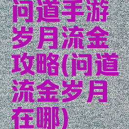 问道手游岁月流金攻略(问道流金岁月在哪)