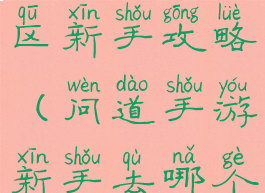 问道手游新区新手攻略(问道手游新手去哪个区)