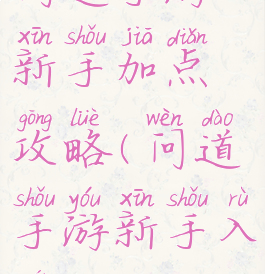 问道手游新手加点攻略(问道手游新手入门)