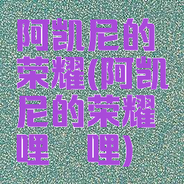 阿凯尼的荣耀(阿凯尼的荣耀哔哩哔哩)