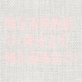 阿尔宙斯的指令(神奇宝贝阿尔宙斯指令)