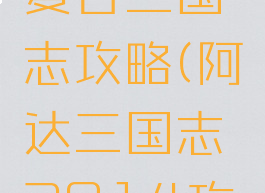 阿达游戏复古三国志攻略(阿达三国志2014攻略)