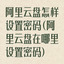 阿里云盘怎样设置密码(阿里云盘在哪里设置密码)