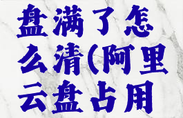 阿里云磁盘满了怎么清(阿里云盘占用空间)