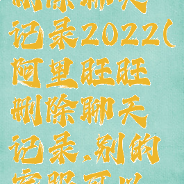 阿里旺旺删除聊天记录2022(阿里旺旺删除聊天记录,别的客服可以看到吗)