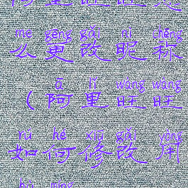 阿里旺旺怎么更改昵称(阿里旺旺如何修改用户名)