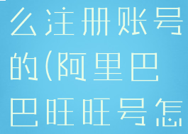 阿里旺旺怎么注册账号的(阿里巴巴旺旺号怎么注册)