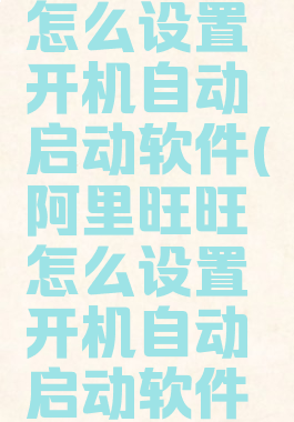 阿里旺旺怎么设置开机自动启动软件(阿里旺旺怎么设置开机自动启动软件功能)